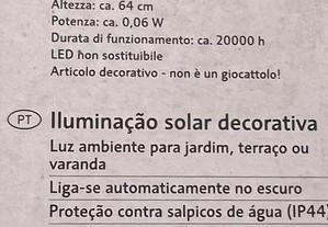 imagem_8