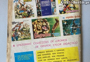 imagem_4