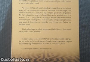 imagem_4