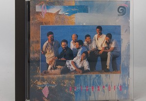 CD Os Tubarões1990