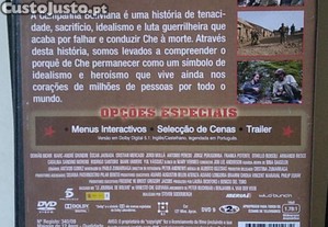 imagem_13