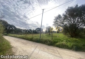 imagem_11