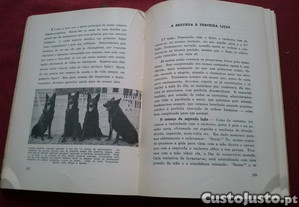 imagem_9