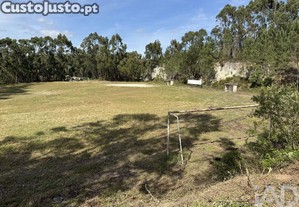 imagem_25