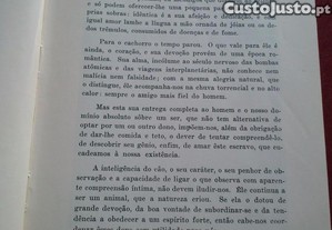 imagem_8