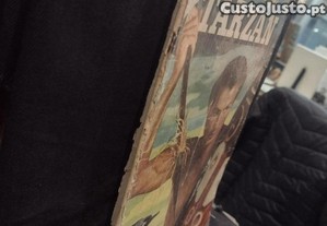 imagem_2