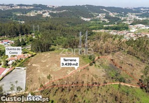 Terreno Florestal Com Capacidade Construtiva -...