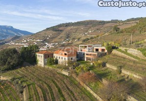 Quinta Em Mesão Frio (Unesco) Com 6,6Ha