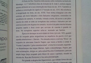 imagem_6