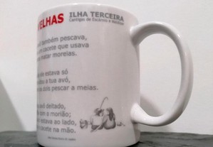 imagem_3