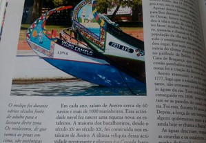 imagem_6