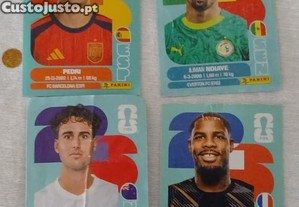 imagem_1