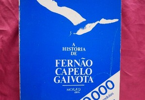 A História de Fernão Capelo Gaivota. Richard Bach.
