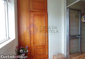 imagem_19