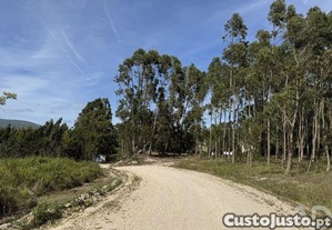 imagem_20