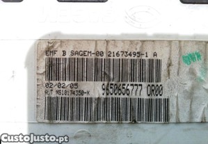 imagem_3