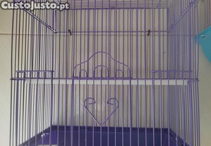 imagem_1