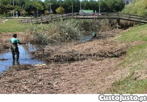 imagem_11