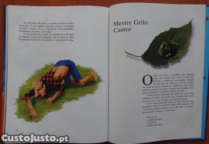 imagem_6