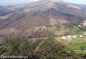 Terreno Florestal Urbanizável Com 42.000 M2 -...