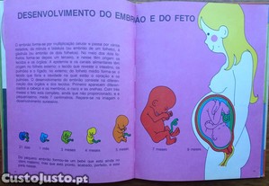 imagem_7