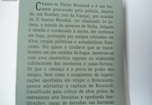 imagem_4