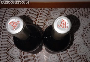 imagem_4