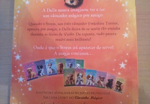 imagem_4