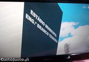imagem_8