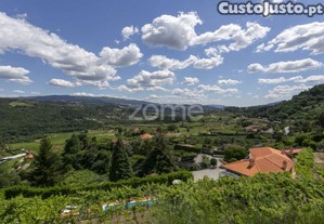 Quinta Em Amarante - Espaço E Conforto Com...
