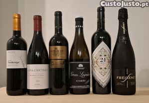 6 Vinhos de Espanha