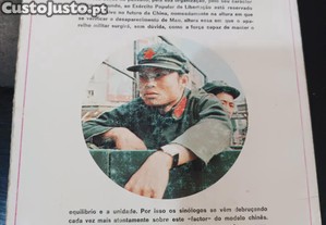 imagem_7