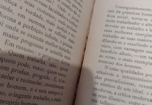 imagem_4