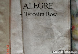 imagem_7