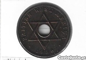 imagem_7