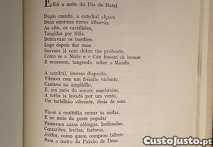 imagem_7