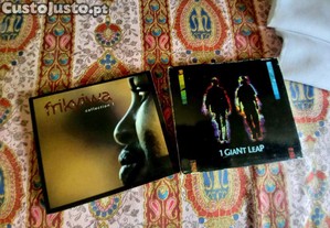 imagem_1