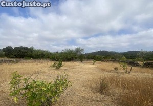 imagem_21