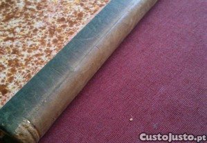 imagem_6