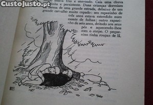 imagem_2