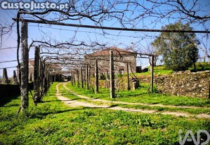 imagem_34