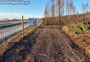 Terreno 36683 M², Frente Para A A41, Aguiar De...