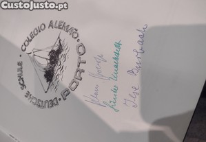 imagem_12