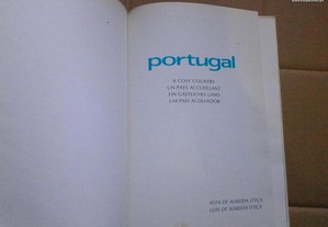 imagem_4