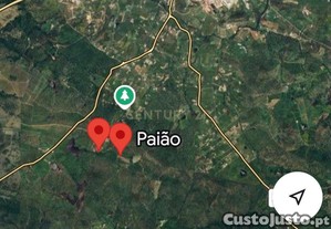 imagem_12