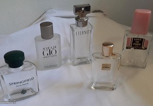 imagem_6