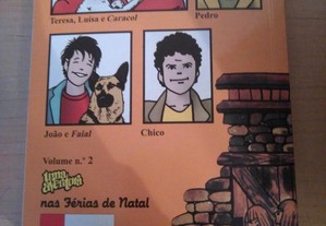 imagem_3