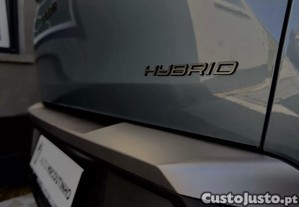 imagem_12
