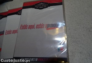 imagem_8