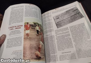 imagem_11